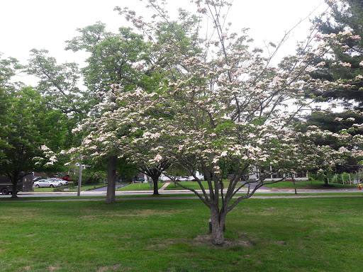 Park «Whitman Town Recreation Department», reviews and photos, 54 South Ave #1, Whitman, MA 02382, USA