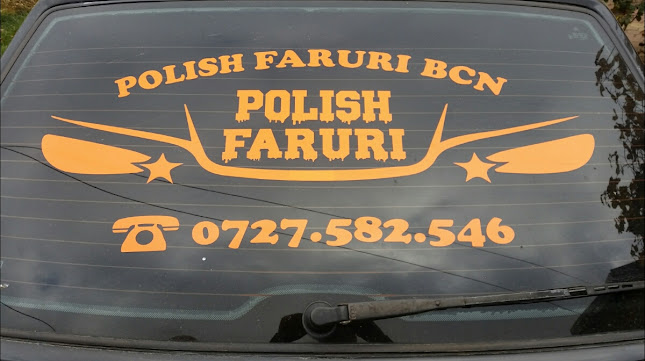 Polish faruri Ploiesti