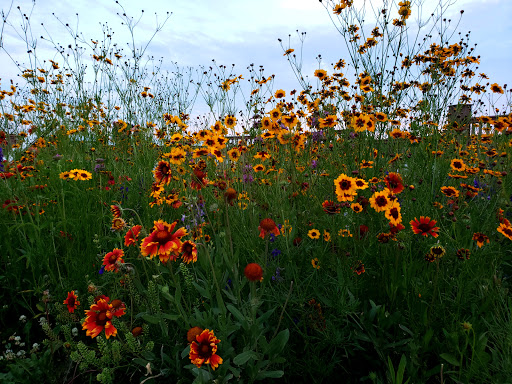 Park «Lake Park», reviews and photos, 2100-2198 Lee St, Des Plaines, IL 60018, USA