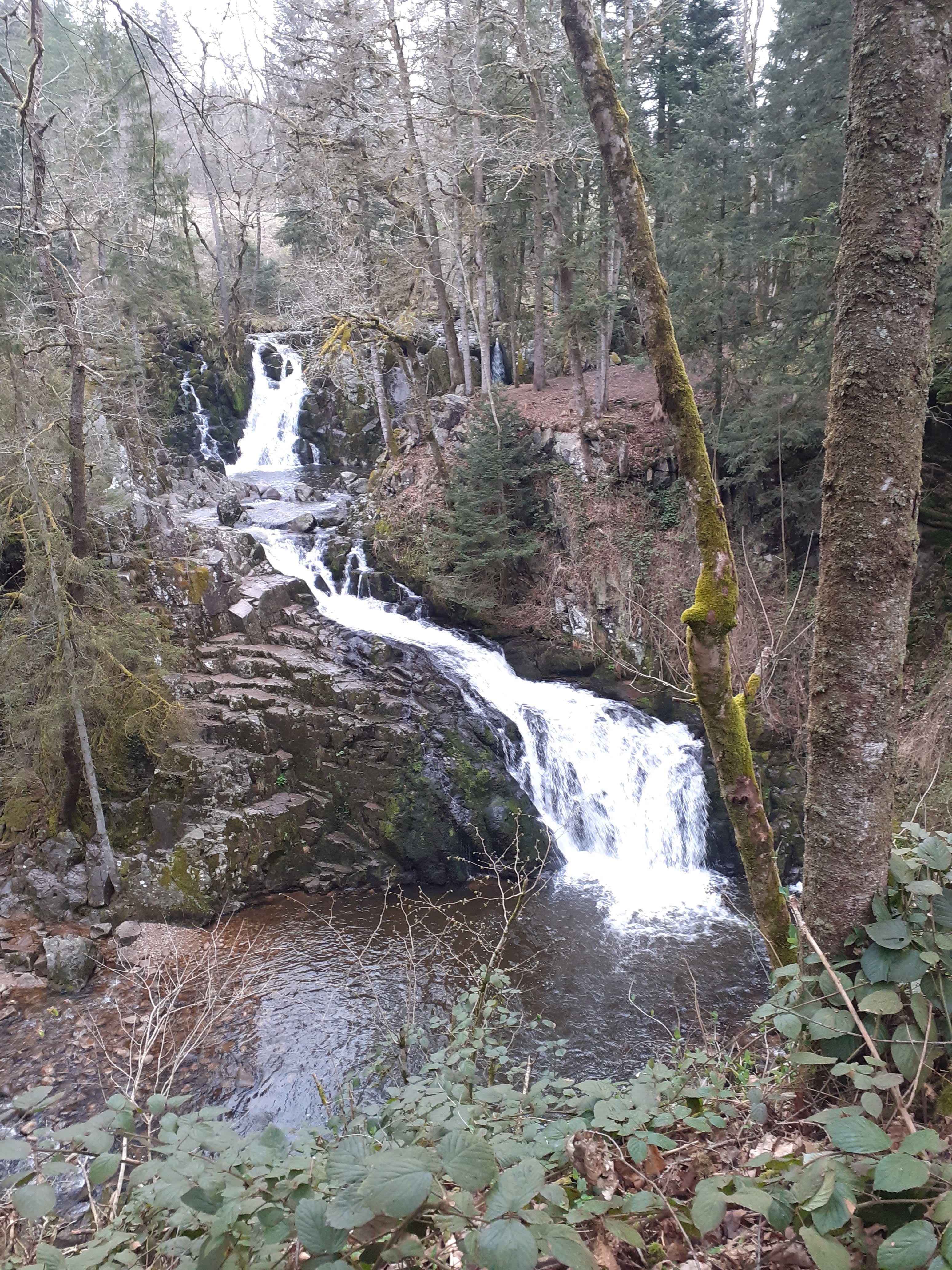 Photo n° 4 de l'avis de Evelyne.o fait le 18/04/2022 à 18:06