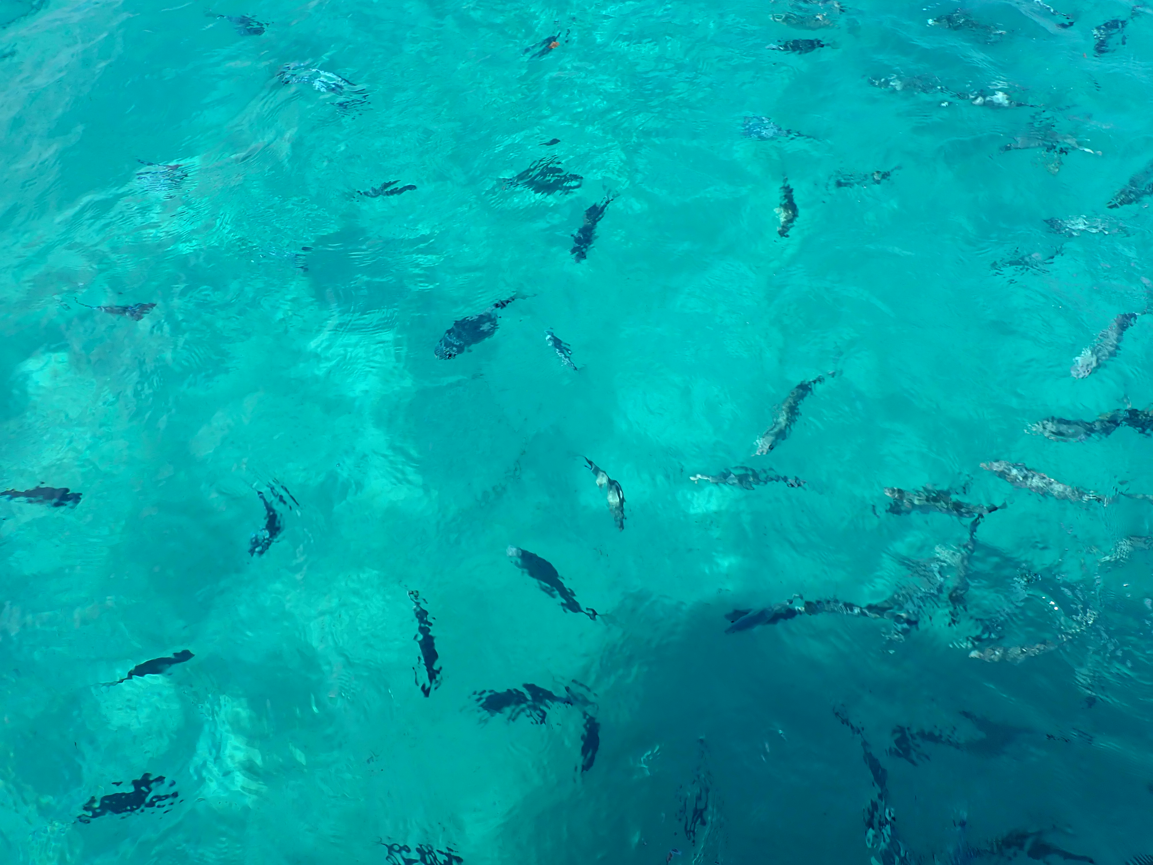 Photo n° 7 de l'avis de dranreb.a fait le 09/08/2023 à 08:33