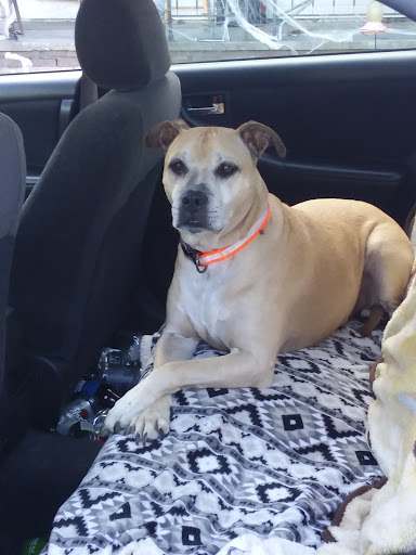 Explore magic the gathering tattoo ideas, creative tattoo ideas in Old Orchard Beach, available at Mad Hatters Tattoo Studio