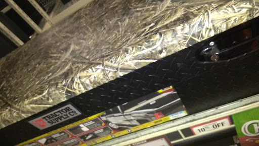 Home Improvement Store «Tractor Supply Co.», reviews and photos, 8447 FL-54, New Port Richey, FL 34655, USA