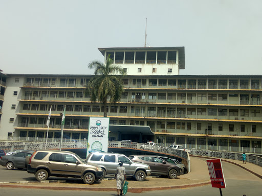 Uch Ibadan organogram, Layi Ayanniyi Street, Ibadan, Nigeria, Employment Agency, state Oyo