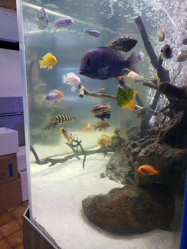 Pet Supply Store «Seascape Aquarium & Pet Center», reviews and photos, 2162 Gulf Gate Dr, Sarasota, FL 34231, USA