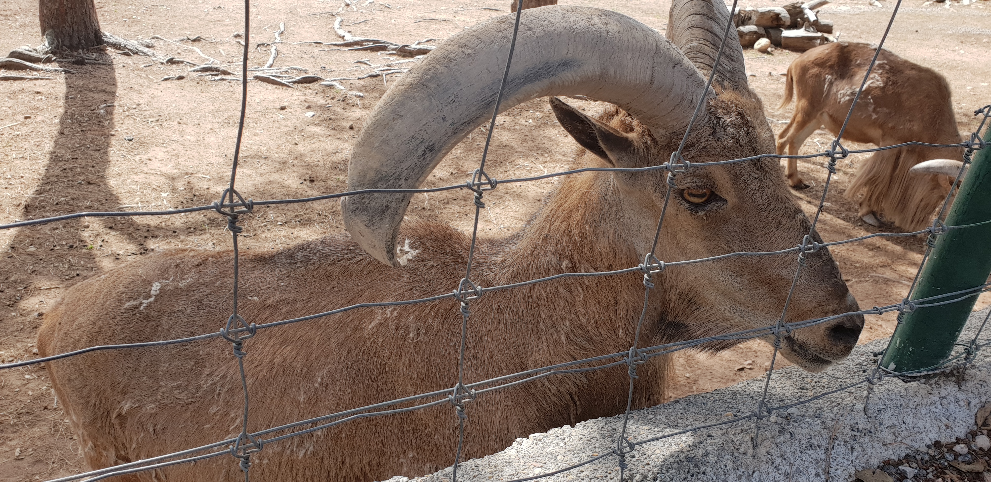 Photo n° 15 de l'avis de Anthony. fait le 11/06/2018 à 14:44