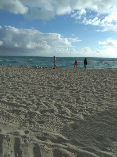 Grocery Store «M & L Food Market», reviews and photos, 7446 Collins Ave, Miami Beach, FL 33141, USA