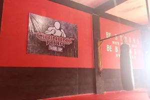 Cibinonk MMA Training Camp image