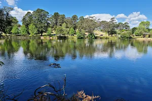 Lake Alexandra Reserve image