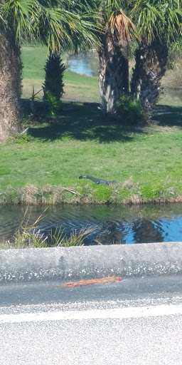 Golf Course «Manatee Cove Golf Course», reviews and photos, 861 Marina Rd, Patrick AFB, FL 32925, USA