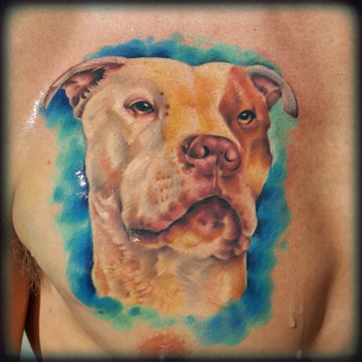 Tattoo Shop «Hot Rod Alley Tattoo», reviews and photos, 1051 Water St, Santa Cruz, CA 95062, USA