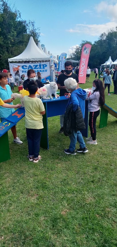 Samsun Pet & Kid Fest 2022 - Karadeniz 2.Evcil Hayvan ve Çocuk Festivali