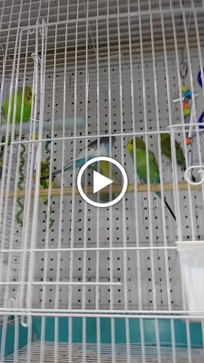 Pet Store «Pet Cove», reviews and photos, 820 E Center St, Kingsport, TN 37660, USA