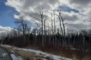 Bayers Lake image