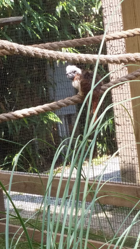 Golf Club «Stone Harbor Golf Club», reviews and photos, 905 U.S. 9, Cape May Court House, NJ 08210, USA