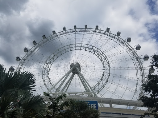 Museum «SKELETONS: Museum Of Osteology», reviews and photos, 8441 International Dr Suite 250, Orlando, FL 32819, USA