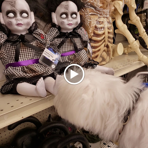 Discount Store «Big Lots», reviews and photos, 3055 183rd St, Homewood, IL 60430, USA