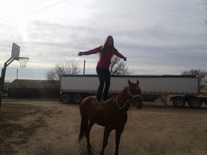 Alana Jeree's Stables Horse Training