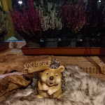 Photo n°3 de l'avis de MARISTELLA.E fait le 11/11/2022 à 07:26 sur le  Pizzagrill funivia à Albino