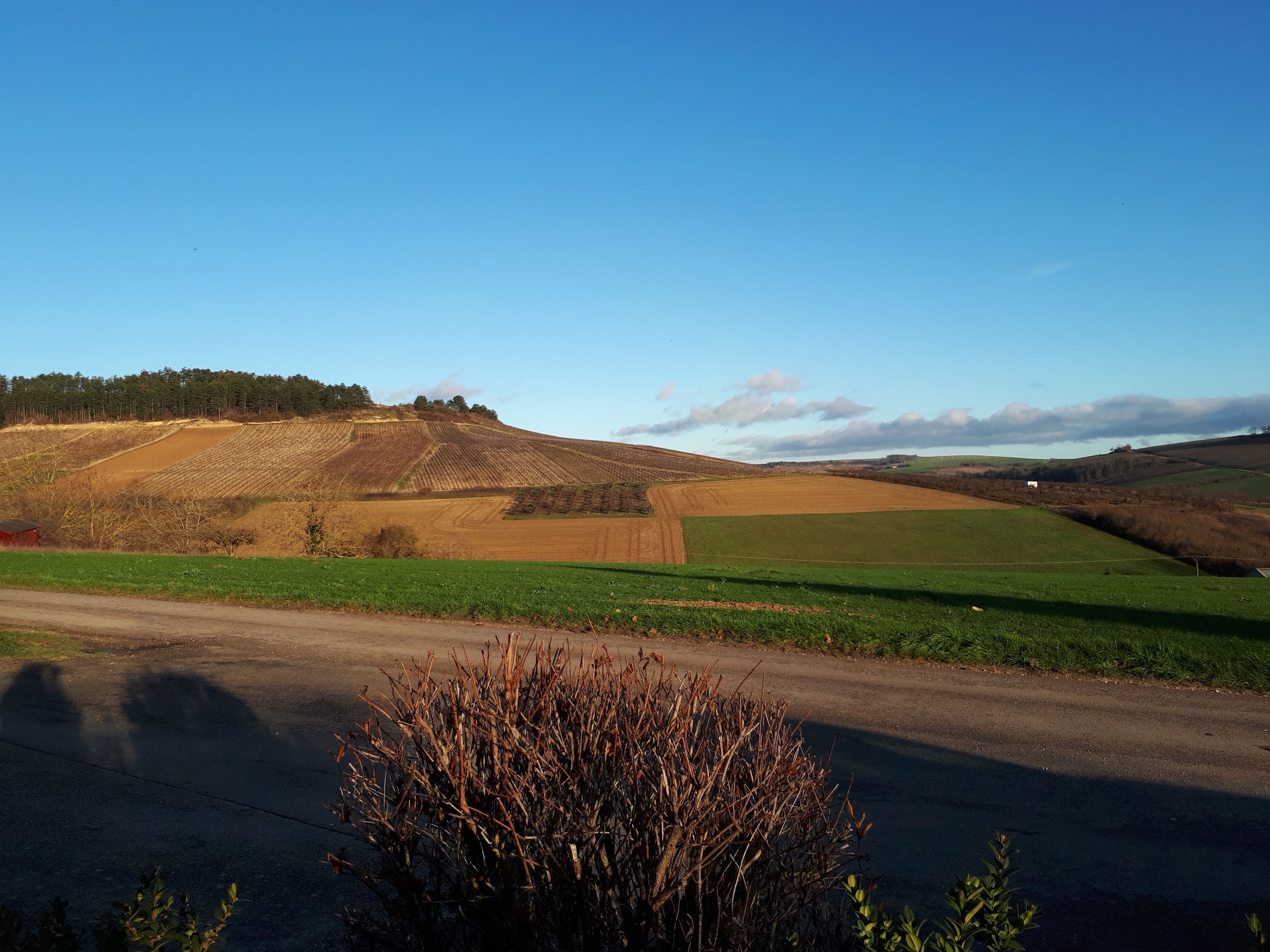 Photo n° 2 de l'avis de Pascale.l fait le 21/12/2020 à 11:11