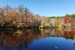 Frenchtown Park and Frye Nature Preserve image