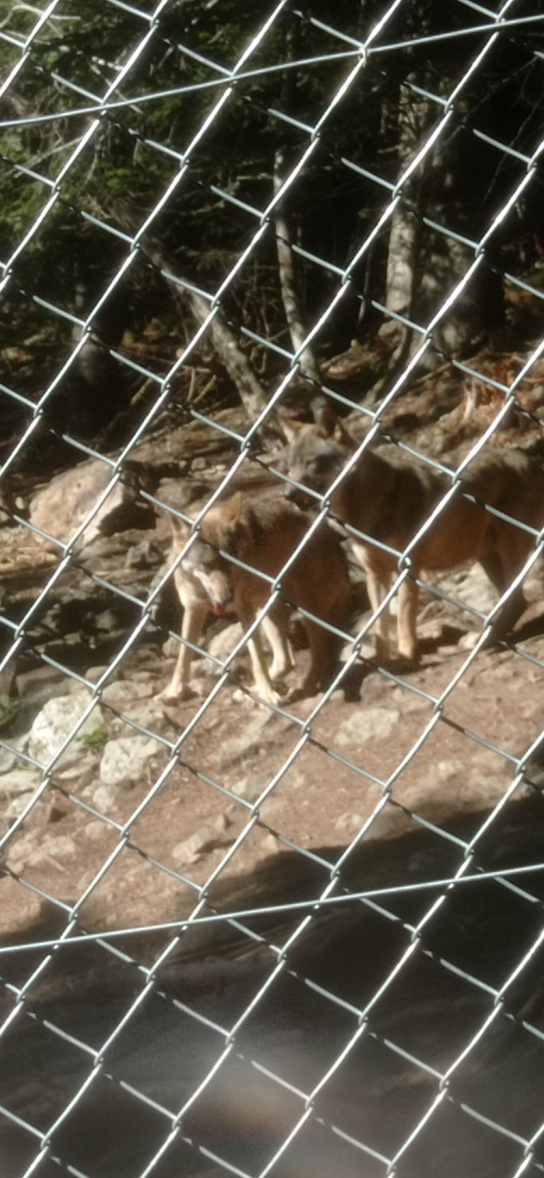 Photo n° 11 de l'avis de Cyril.A fait le 01/10/2022 à 19:11