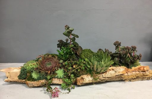 Florist «The Florist at Moana Nursery», reviews and photos, 1110 W Moana Ln, Reno, NV 89509, USA