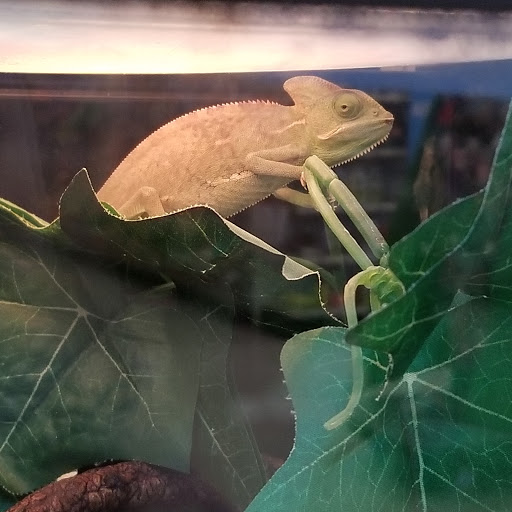 Pet Supply Store «PetSmart», reviews and photos, 625 Baltimore Blvd, Westminster, MD 21157, USA