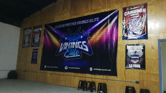 Opiniones de Vikings Elite Center en Temuco - Gimnasio