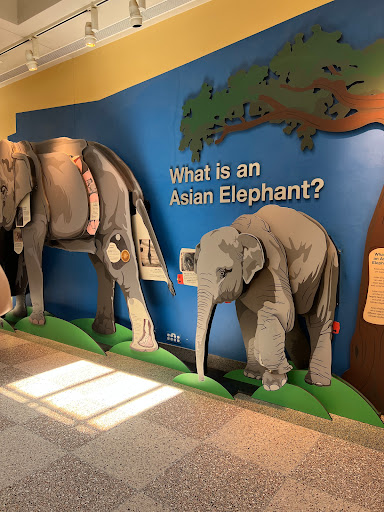 Tourist Attraction «Elephant Trails», reviews and photos, 3001 Connecticut Ave NW, Washington, DC 20008, USA