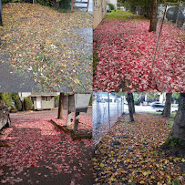 PIEDRAS LANDSCAPING SERVICES LLC - Photo 5 - Car repair in Vancouver, WA, Portland