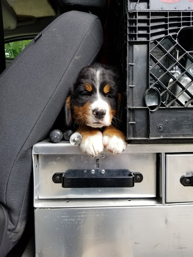 Home Improvement Store «The Home Depot», reviews and photos, 779 Washington St, Auburn, MA 01501, USA