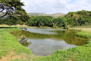 Parque Araguaventura image