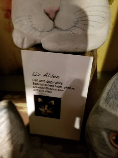 Skateboard Shop «Push Skate Shop», reviews and photos, 25 Patton Ave, Asheville, NC 28801, USA