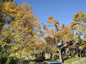Ehinger Park - photo 4