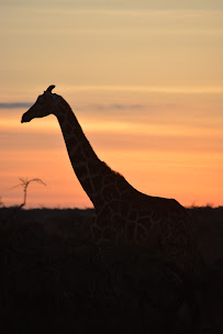 Wesley Goldthwaite Photography - Photo 1 - Car repair in , Palm Bay