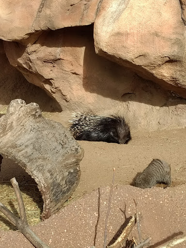 Zoo «Monkey Island», reviews and photos, 8 E 23rd Ave, Denver, CO 80205, USA