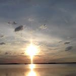 Photo n° 45 de l'avis de Priscillia.l fait le 08/05/2017 à 17:06 pour Lac d'Orient à Mesnil-Saint-Père