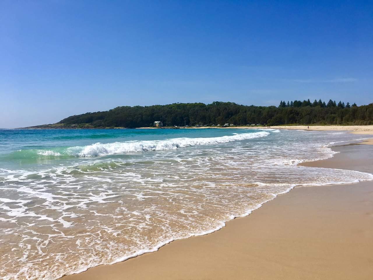 Kioloa Beach photo #7