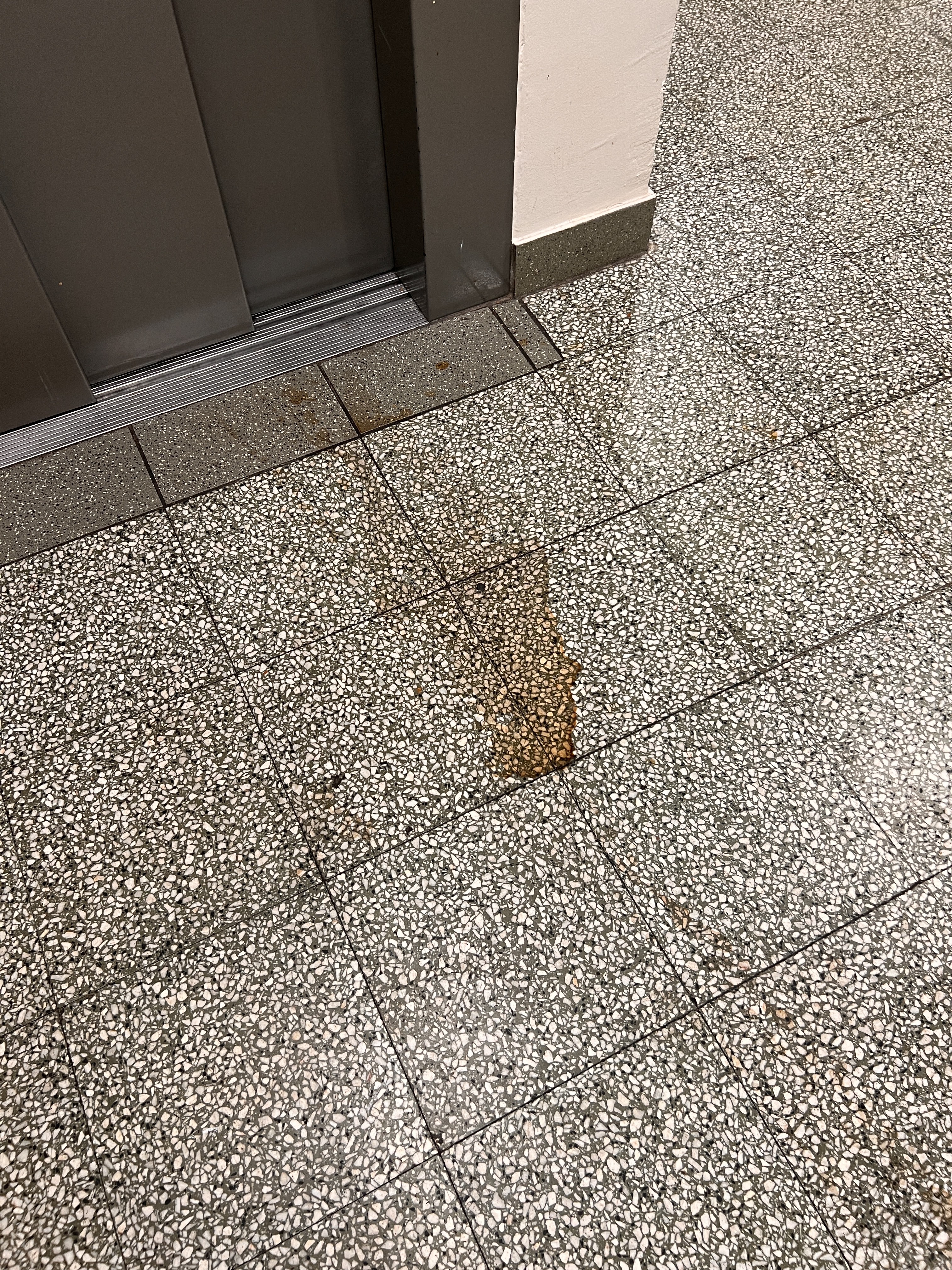 Photo n° 1 de l'avis de Louis.a fait le 22/05/2023 à 12:41