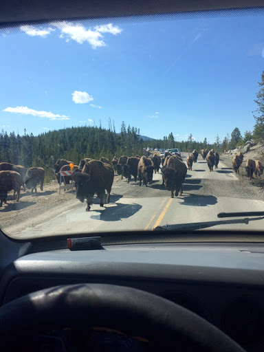 Car Dealer «Emerald Valley Auto Sales», reviews and photos, 22002 Pacific Hwy S, Des Moines, WA 98198, USA