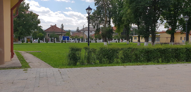 D.G.A.S.P.C. Cluj-Napoca - Servicii de mutare