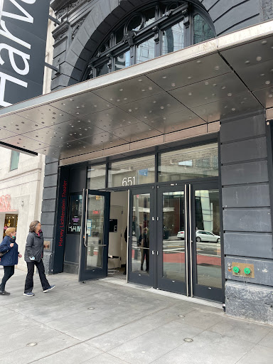 Performing Arts Theater «BAM Harvey Theater», reviews and photos, 651 Fulton St, Brooklyn, NY 11217, USA