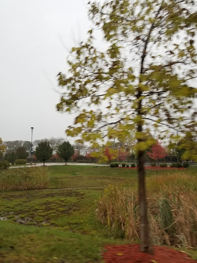 Movie Theater «AMC Classic Galewood Crossings 14», reviews and photos, 5530 W Homer St, Chicago, IL 60639, USA