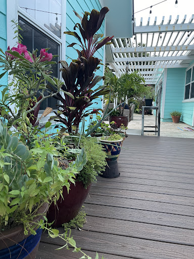 Real Estate Agency «NSB Homes New Smyrna Beach Real Estate», reviews and photos, 209 Downing St, New Smyrna Beach, FL 32168, USA