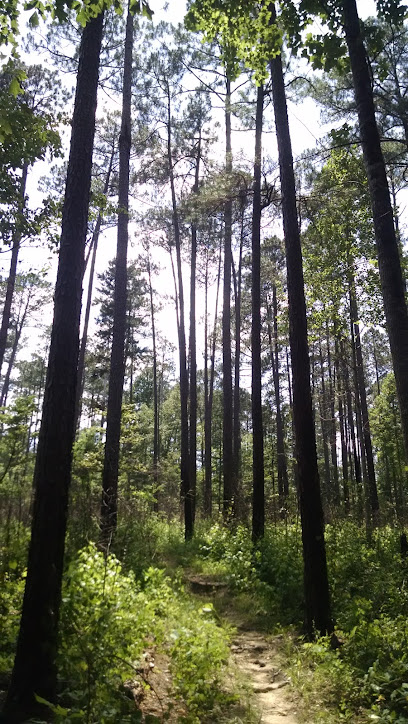 Tuskegee National Forest