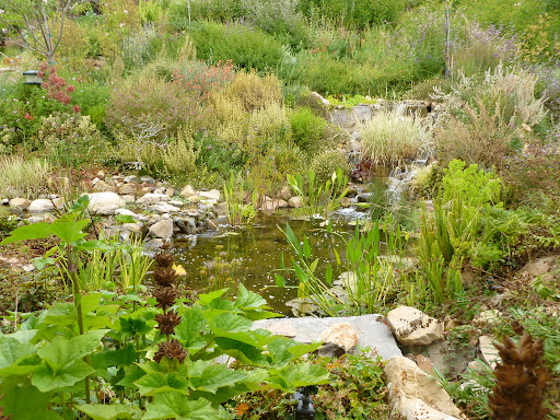 DreamScapes Water Features & Landscape image