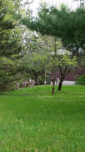 Nature Preserve «Asylum Lake Preserve», reviews and photos, 3836 S Drake Rd, Kalamazoo, MI 49008, USA