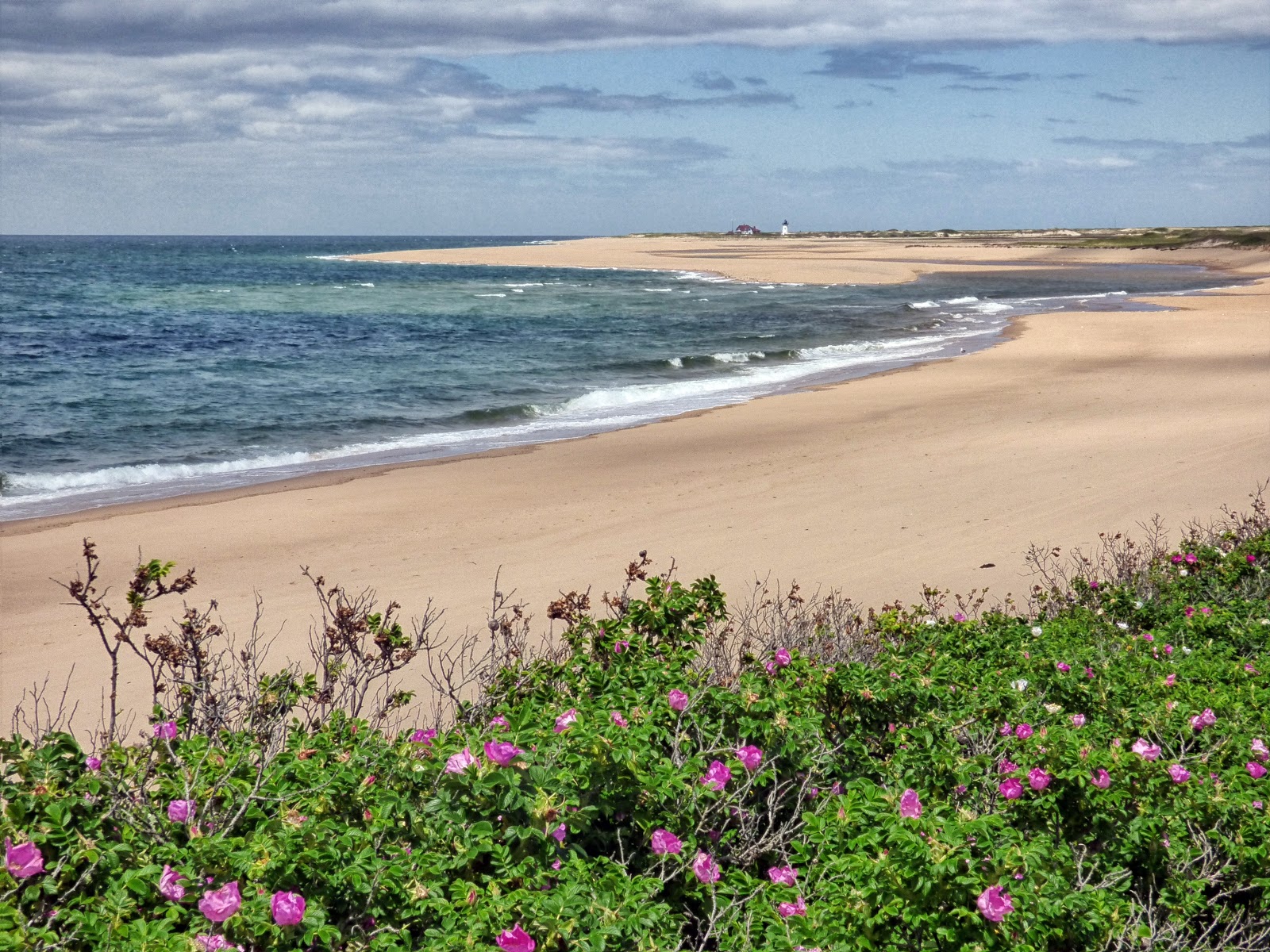 Foto de Herring Cove beach - lugar popular entre os apreciadores de relaxamento