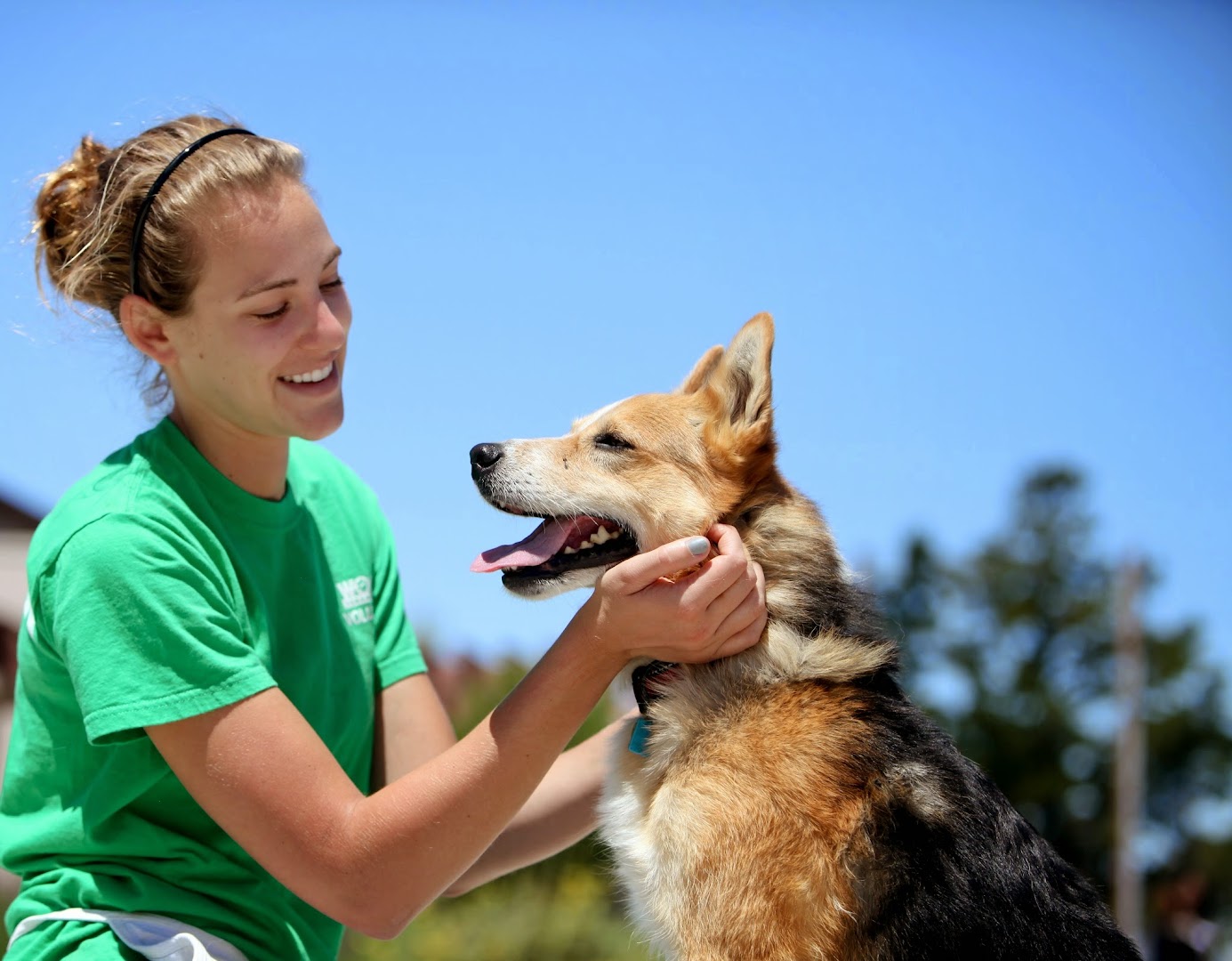 Woods University Dog Obedience Training